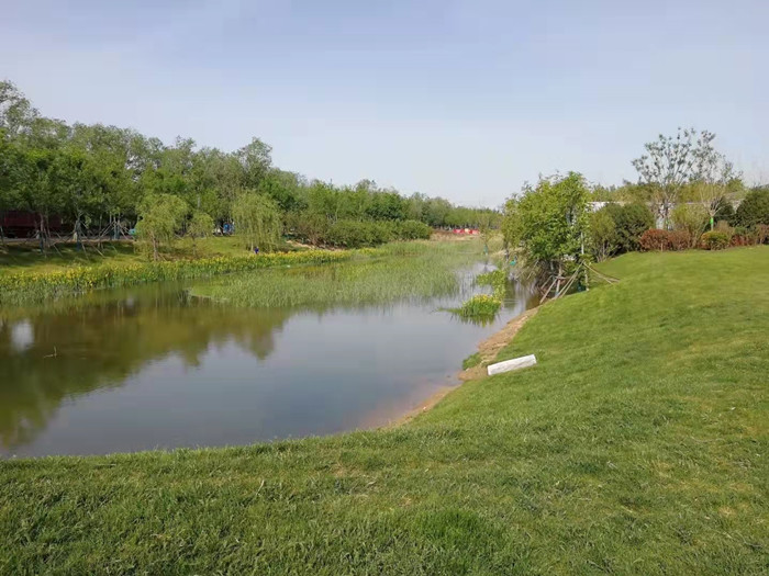 河道生态治理抗冲生物毯的绿化效果如何提高