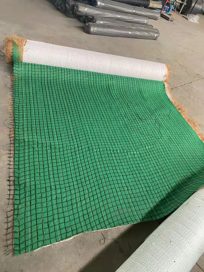 河道生态治理抗冲生物毯的绿化效果如何提高